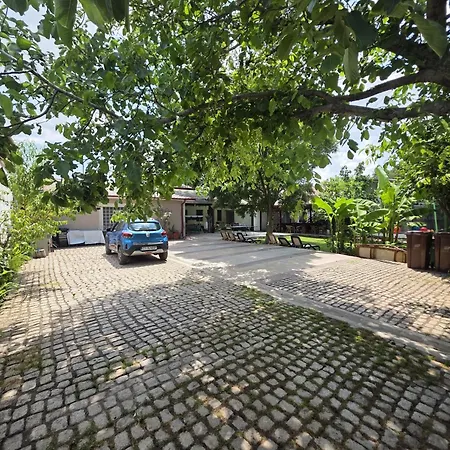 Casa Inflorita Homestay szállás
